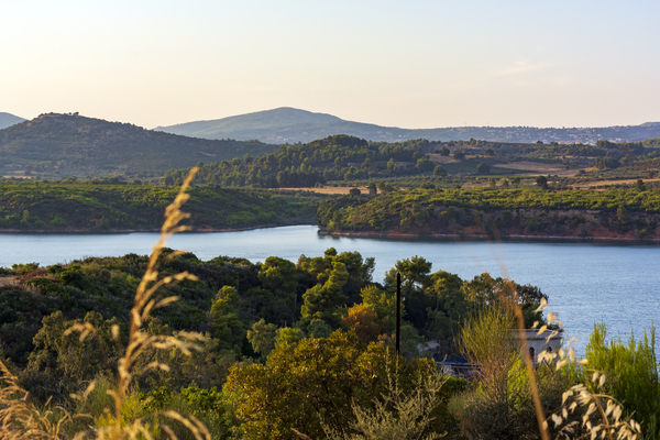 How to get from Athens to Marathon